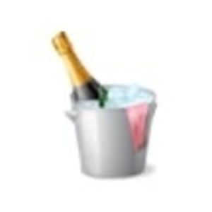 Meet your Posher, Nina